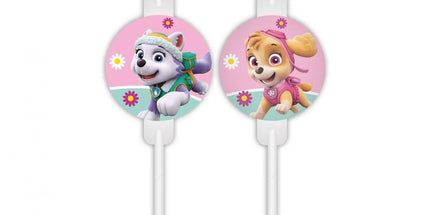Papirnate slamke Paw Patrol Skye i Everest - 4 kom